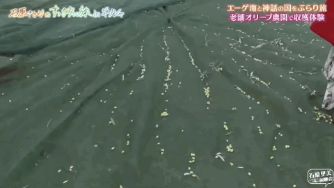 ot1579157484image028.gif image028.gif